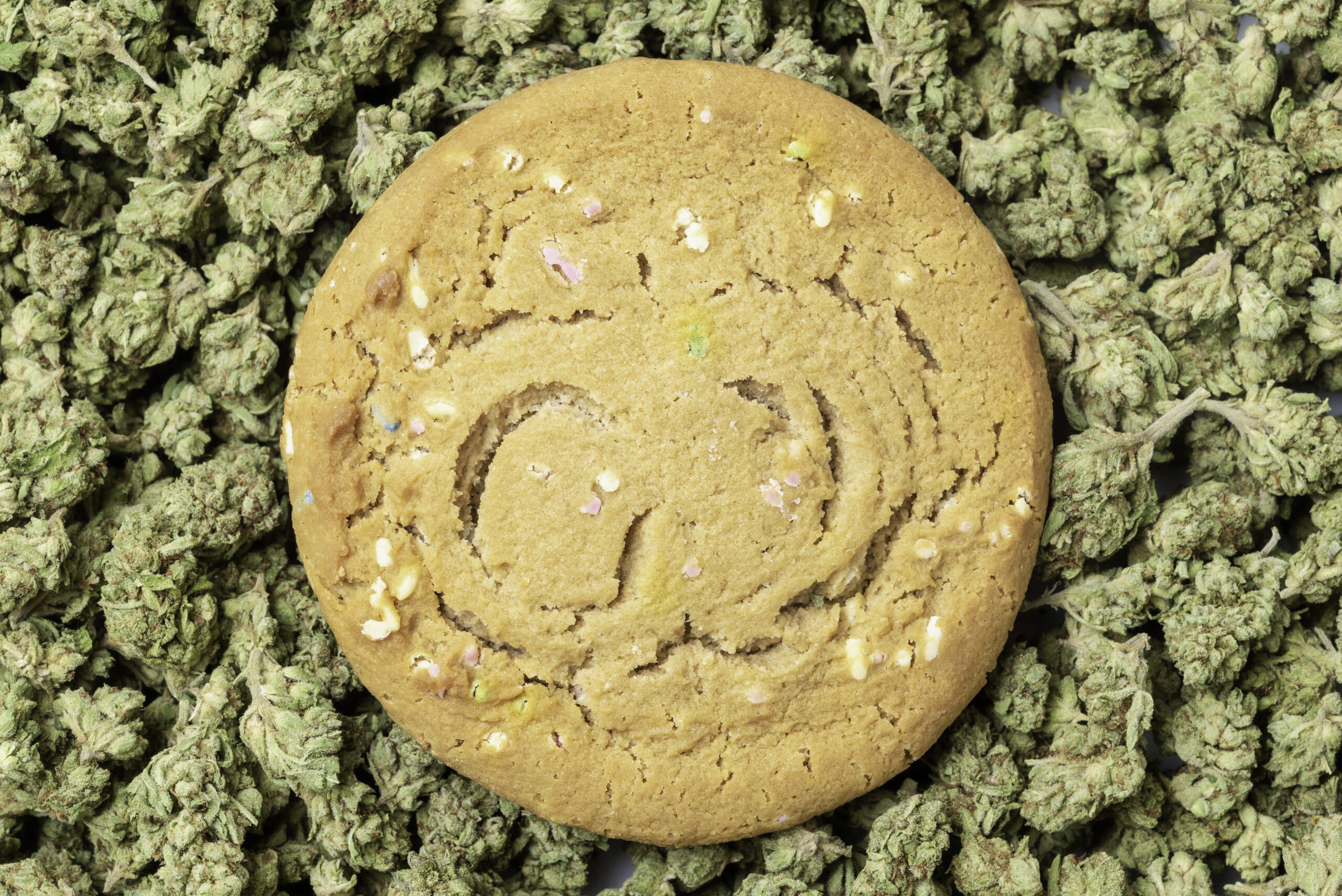 Best Indica edibles in Brampton - cannabis cookie