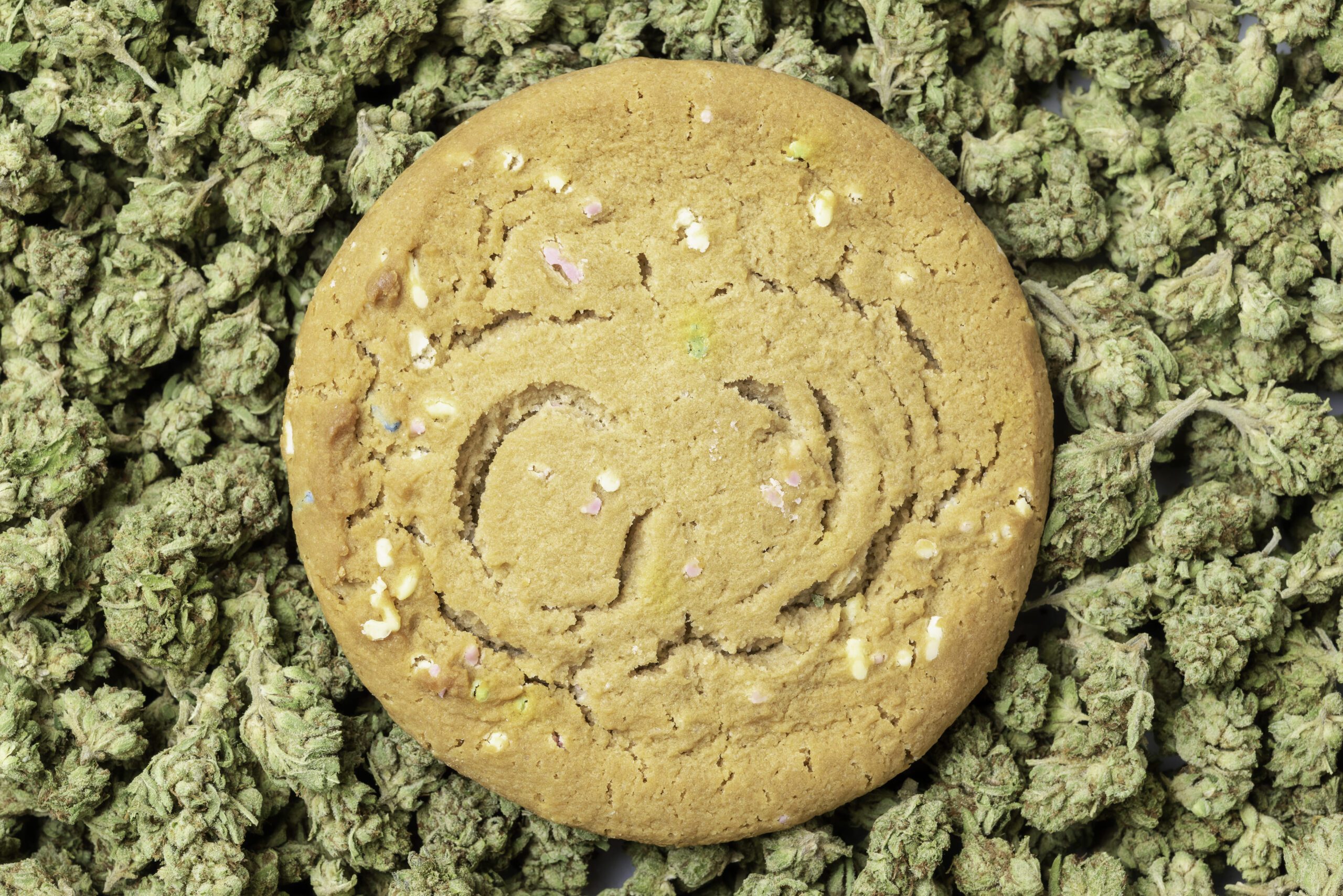 best-indica-edibles-brampton-cannabis-cookies-1 Best Indica edibles in Brampton - cannabis cookie