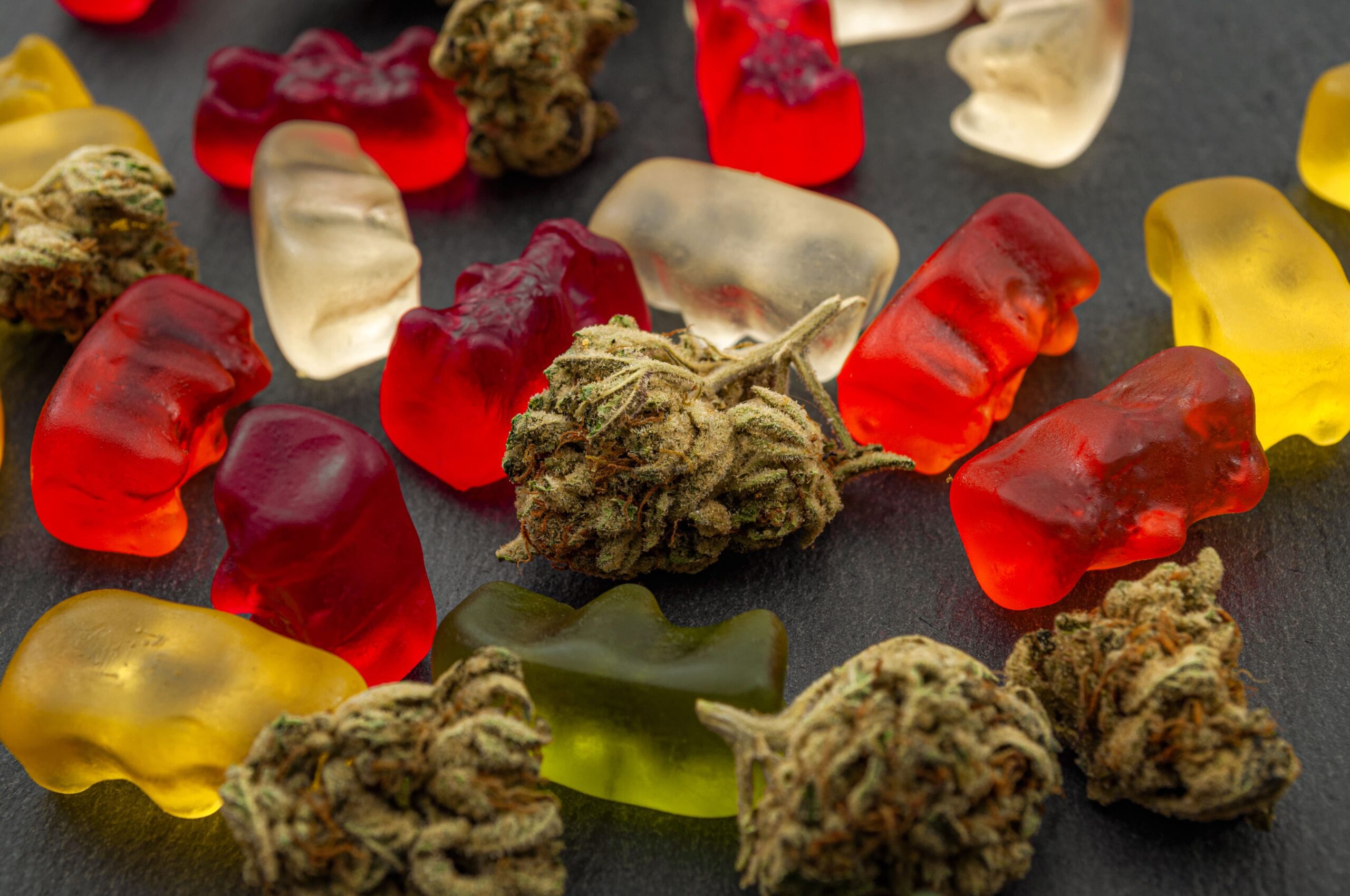 Sativa cannabis gummies and buds in Brampton