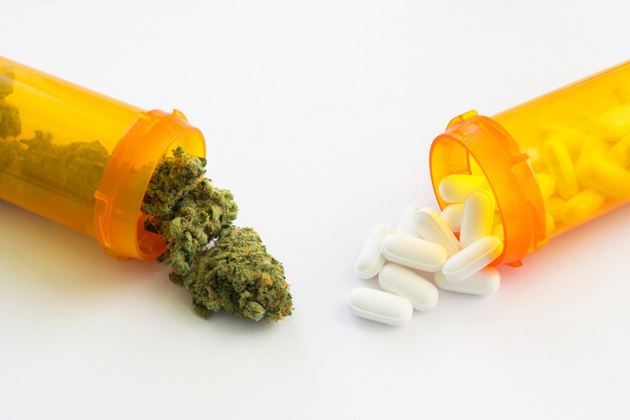 sativa-capsules-in-brampton-2 best indica-extracts-in-waterloo